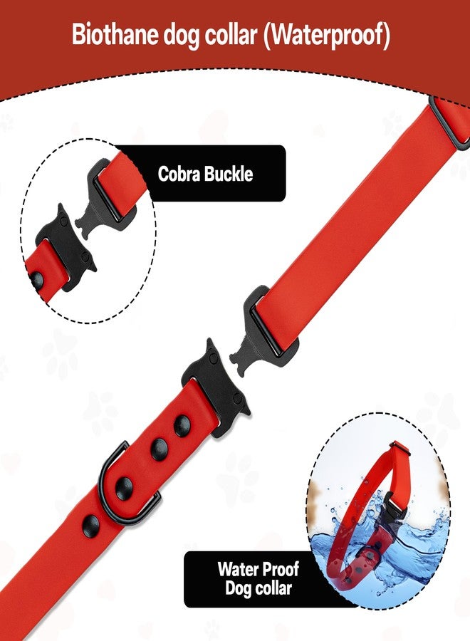 ADIL'S Biothane Dog Collar Rubber 1-Inch Width, Waterproof & Heavy-Duty with Quick Release Buckle, Adjustable Collar with D-Ring for Leashes for Small, Medium & Large Dogs (RED, L(20''-24'')) - Image 3